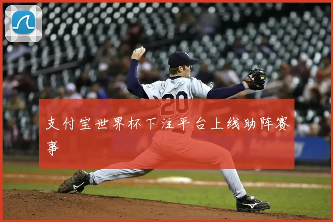 支付宝世界杯下注平台上线助阵赛事